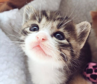 學(xué)習(xí)CAD！每天五個(gè)小技巧！這個(gè)系列趕快收藏！